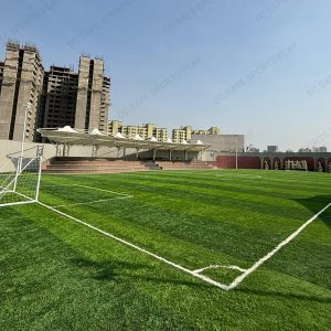 Football Straight Turf